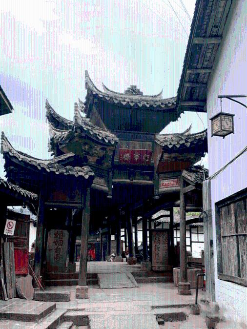照顾小兔宝宝
